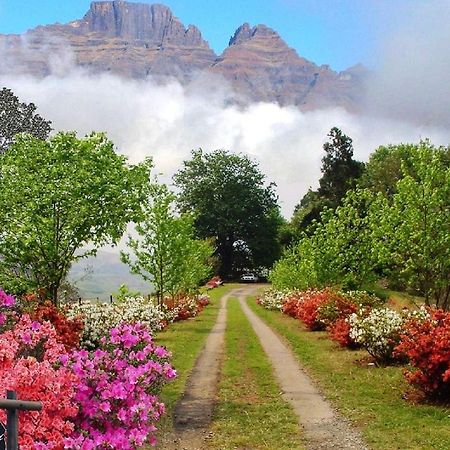 فيلا Emafweni Champagne Valley المظهر الخارجي الصورة