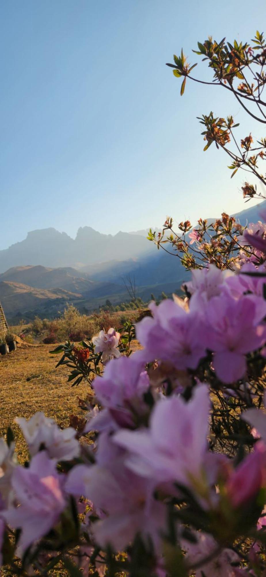 فيلا Emafweni Champagne Valley المظهر الخارجي الصورة