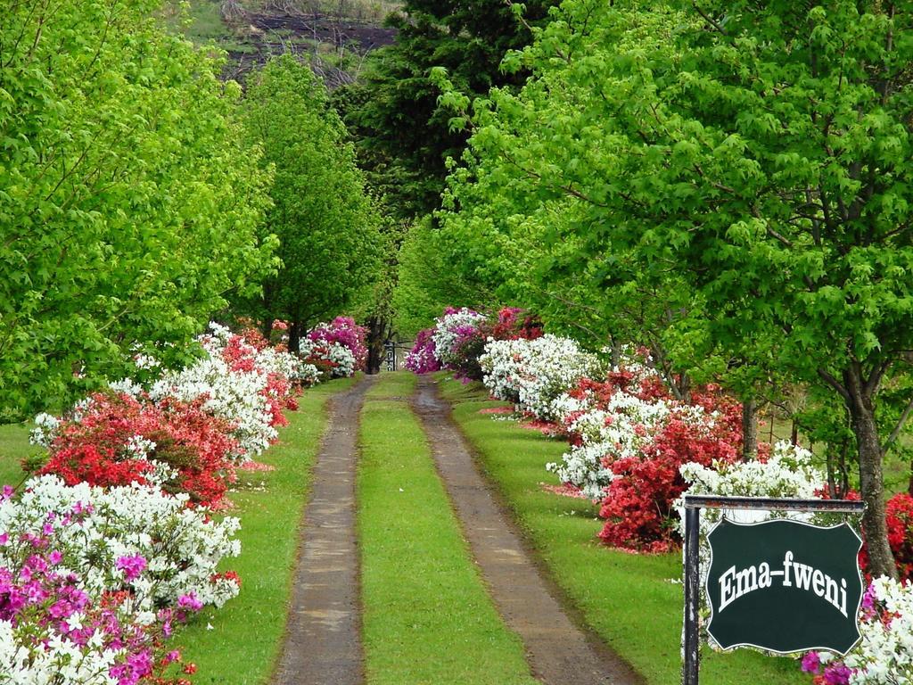فيلا Emafweni Champagne Valley المظهر الخارجي الصورة