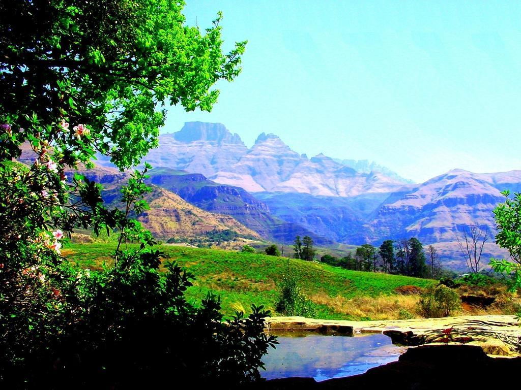 فيلا Emafweni Champagne Valley المظهر الخارجي الصورة