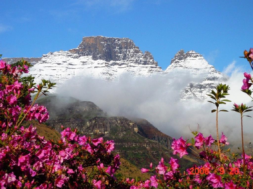 فيلا Emafweni Champagne Valley المظهر الخارجي الصورة