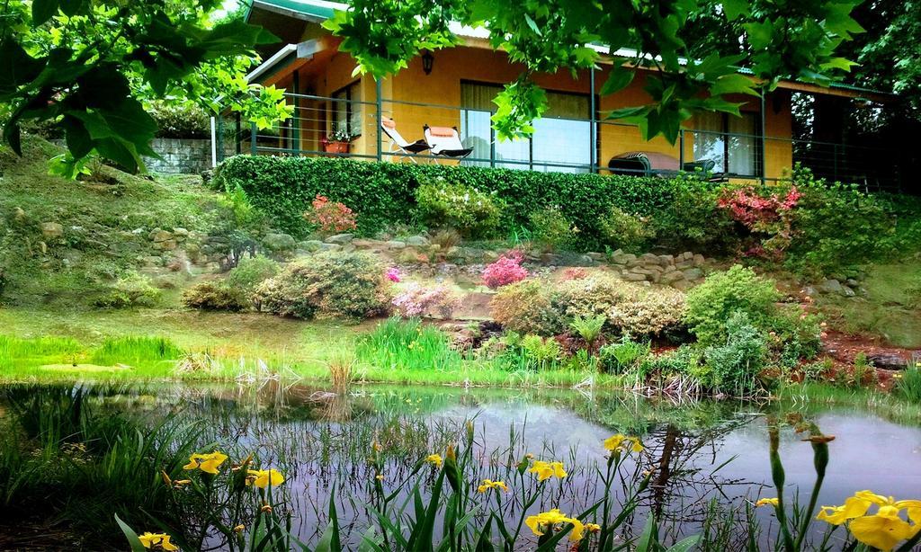 فيلا Emafweni Champagne Valley الغرفة الصورة