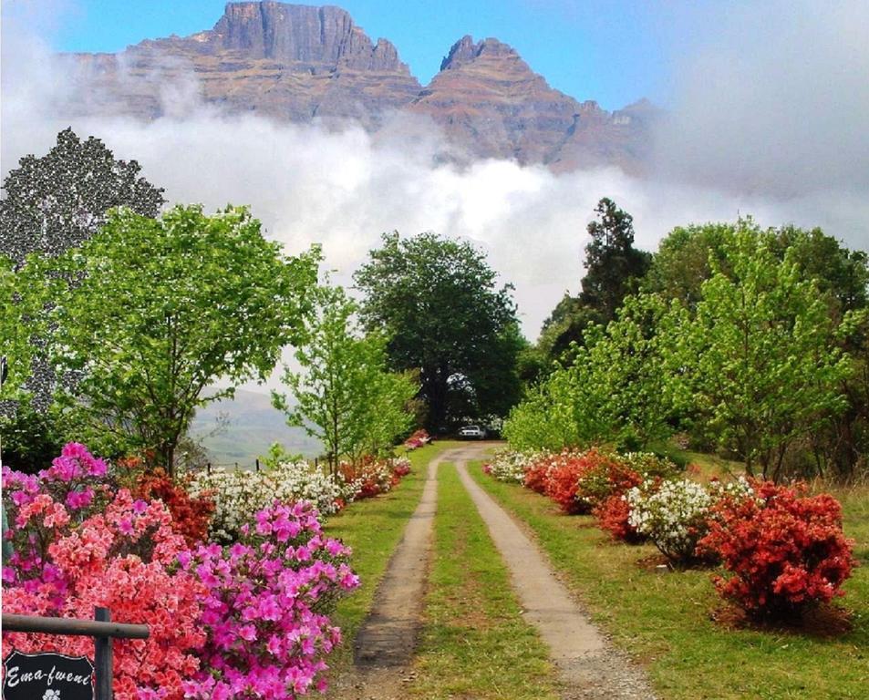 فيلا Emafweni Champagne Valley المظهر الخارجي الصورة