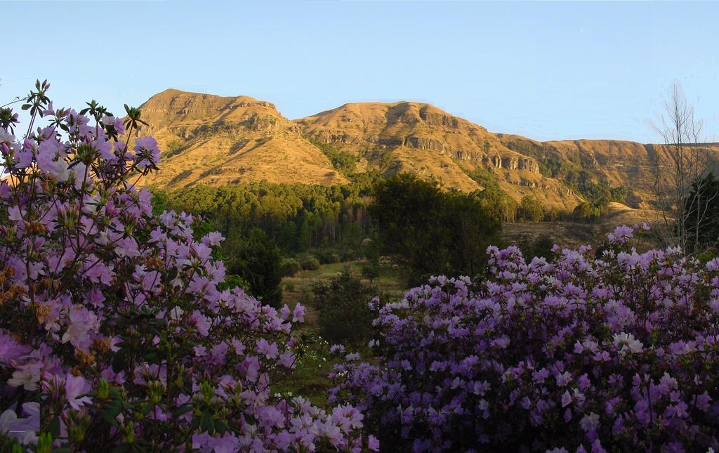 فيلا Emafweni Champagne Valley المظهر الخارجي الصورة